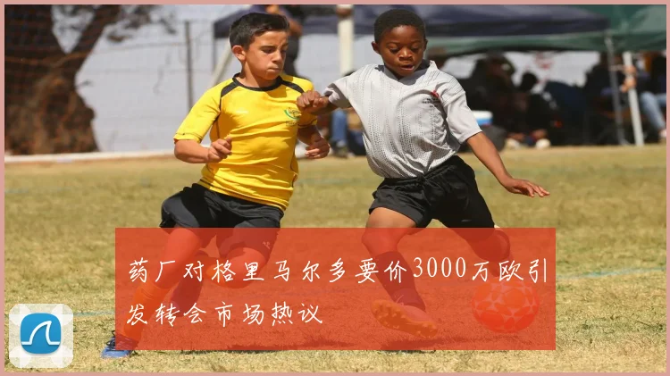 药厂对格里马尔多要价3000万欧引发转会市场热议