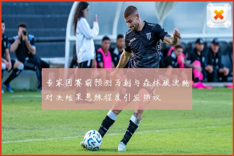 专家团赛前预测马刺与森林狼次轮对决结果悬殊程度引发热议