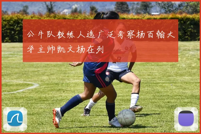 公牛队教练人选广泛考察杨百翰大学主帅凯文杨在列